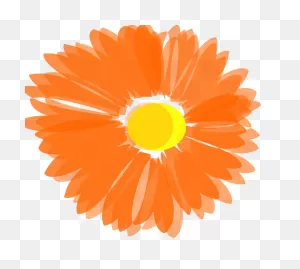 Free Orange Flowers Png, Download Free Orange Flowers Png Png ClipartFlare.com 