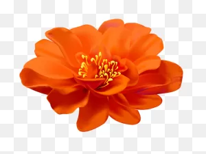 Flower Orange Transparent Png Clip Art Image | Flower Clipart ClipartFlare.com 