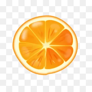 Orange Slice | Free PNG-WebP