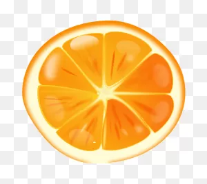 Orange Slice Clipart. Free Download Transparent .png | ClipartFlare