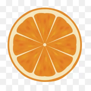 Orange Slice 2 | Free PNG-WebP
