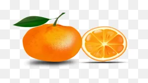 Slice Of An Orange (102016) Free PNG-WebP Download / 4 Vector