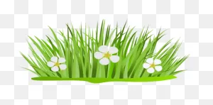 Download Hd Free Png Download Grass Patch With Flowers Png Images ClipartFlare.com 