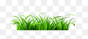 Free Grass Transparent Png, Download Free Grass Transparent Png ClipartFlare.com 