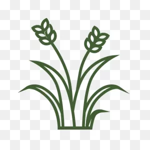 Grasses Clip Art Portable Network Graphics Vector Graphics Lawn ClipartFlare.com 
