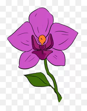 Orchid Cliparts - Cliparts Zone
