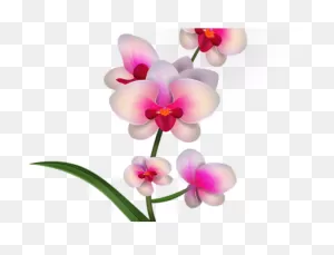 Purple Orchid Clipart Png Image | Purple Orchids, Orchid ClipartFlare.com 