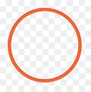 Download Inside An Orange Bird Orange Circle Logo Pictures To ClipartFlare.com 