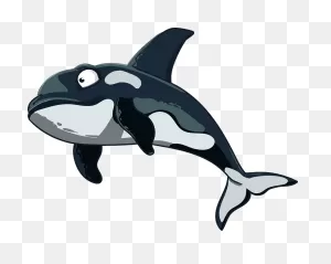Cartoon Orca Clipart. Free Download Transparent .png | ClipartFlare