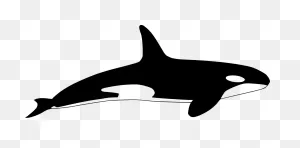 Orca PNG-WebP Png Icon Free Download (#438503) - Onlinewebfonts ClipartFlare.com
