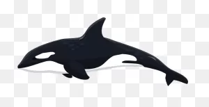 Orca Clipart Whale Dolphin, Orca Whale Dolphin Transparent ClipartFlare.com 