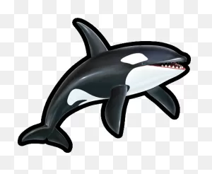 Orca | Sonic News Network | ClipartFlare