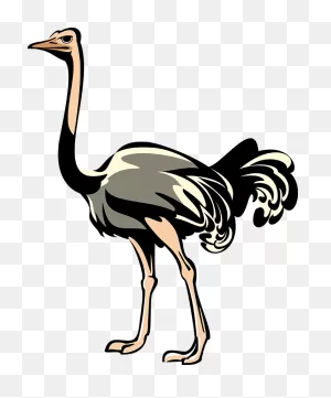 Clip Art Ostrich - ClipartFlare - ClipartFlare - ClipartFlare