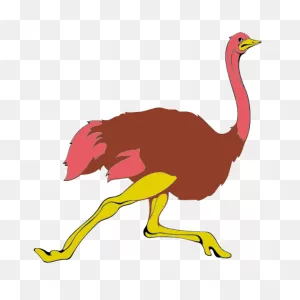 Ostrich Clipart. Free Download Transparent .png | ClipartFlare
