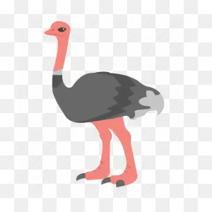 Ostrich Png Background Clip Art | Png Play