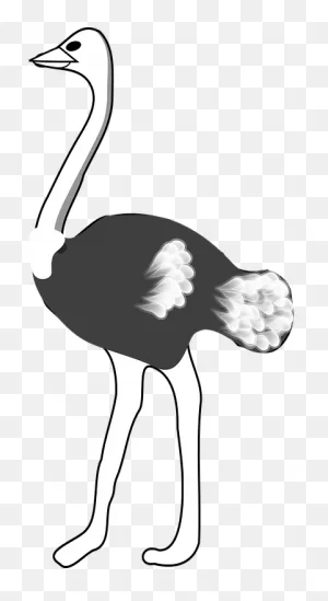 Ostrich Emoji Clipart - Full Size Clipart (#5551776) - ClipartFlare