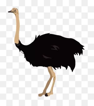 Ostrich Bird Clipart. Free Download Transparent .png | ClipartFlare
