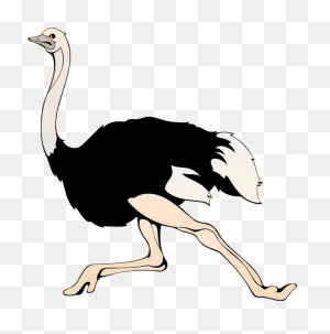 Running Ostrich Clip Art At ClipartFlare ClipartFlare.com - Vector Clip Art Online ClipartFlare.com 