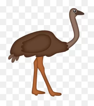 Running Ostrich | Free PNG-WebP