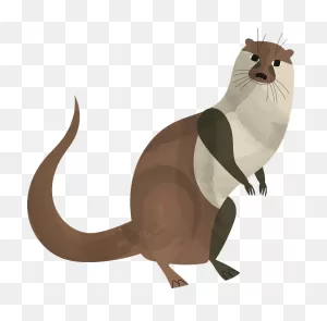 Otter Clipart. Free Download Transparent .png | ClipartFlare