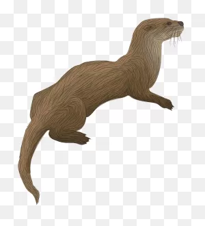 River Otter Clipart - Otter Clipart - Png Download - Full Size ClipartFlare.com 