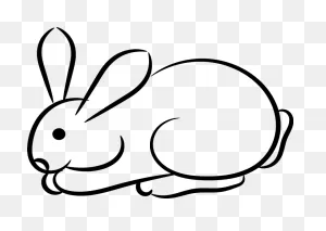 Rabbit Outline Clipart. Free Download Transparent .png | ClipartFlare