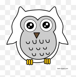 Download Hd Free Snowy Owl Clipart - Cartoon Transparent Png Image ClipartFlare.com 