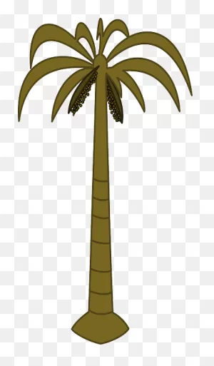 Free Photo Trunk Tall Tropical Tree Isolated Palm Fronds - Max Pixel