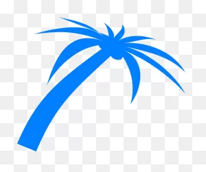 Free Photo Palm Tropical Fronds Nature Plant Beach Tree - Max Pixel