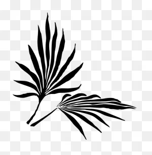 Palm Leaves Frond Tree - Free Vector Graphic On ClipartFlare