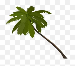 Palm Tree Fronds - Free Vector Graphic On ClipartFlare