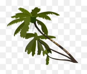 Download Vector Palm Trees Clip Art - Palm Tree Transparent ClipartFlare.com 
