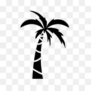 Drawing Arecaceae Cartoon Clip Art - Coconut Tree Vector Png ClipartFlare.com 