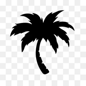 Palm Palm Tree - Transparent Png & PNG-WebP Vector | Palm Tree ClipartFlare.com 