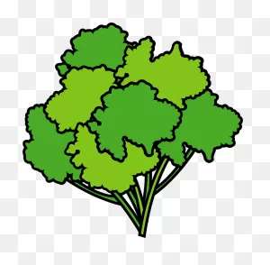 Parsley Clipart. Free Download Transparent .png | ClipartFlare