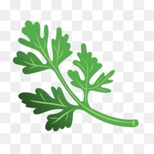Parsley, Parsley Leaf, Parsley Sauce, Parsley Tea, Vegetables Icon ClipartFlare.com 