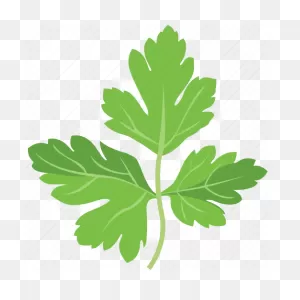 Parsley, Parsley Leaf, Parsley Sauce, Parsley Tea, Vegetables Icon ClipartFlare.com 