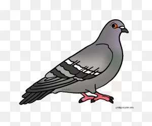 8  Pigeon Clip Art - Preview : Paloma | ClipartFlare