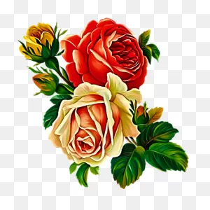 Roses By Kmygraphic | Flower Painting, Flower Art, Watercolor Flowers