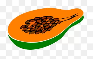 Free Papaya Cliparts, Download Free Papaya Cliparts Png Images ClipartFlare.com 