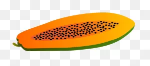 Papaya,fruit,vector,food,free Pictures - Free Image From Needpix ClipartFlare.com