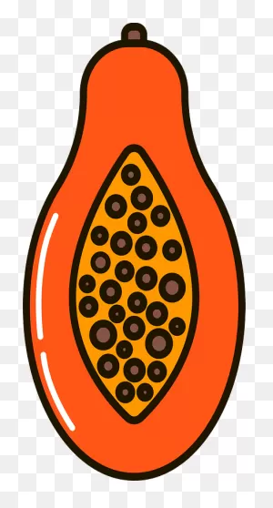 Papaya Clipart. Free Download Transparent .png | ClipartFlare