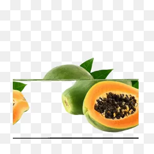 Papaya Fruit Puree, 4Kg (40X100G)