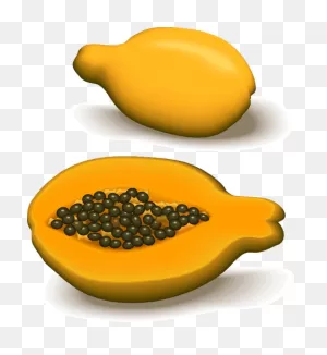 Papaya And A Half | Public Domain Vectors