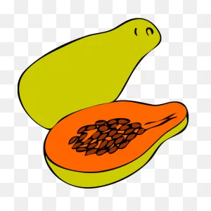 Papaya Png, PNG-WebP Clip Art For Web - Download Clip Art, Png Icon Arts
