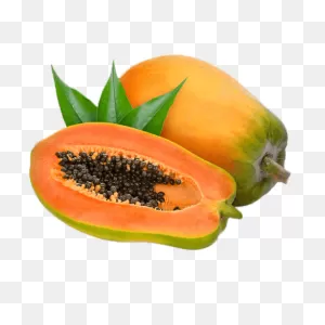 Papaya F1 Solo – Asian And Tropical Vegetable Seeds