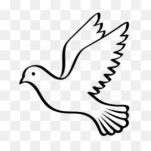 White Dove Png