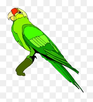 679 X 750 5 - Clip Art Images Parrot - Png Download - Large Size ClipartFlare.com 