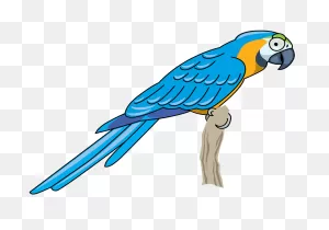 Parrot Clipart. Free Download Transparent .png | ClipartFlare