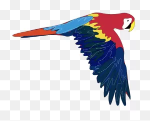 Parrot Clip Art At ClipartFlare ClipartFlare.com - Vector Clip Art Online, Royalty ClipartFlare.com 
